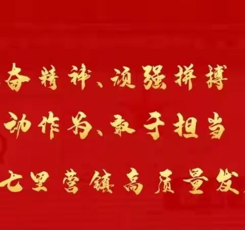 七里营镇打好防汛主动仗，筑牢安全生产墙