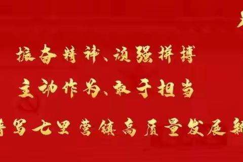 突出重点、狠抓落实，——七里营镇扎实开展防汛工作