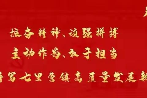 七里营召开防汛紧急会，确保全镇安全度汛