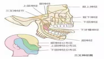 三叉神经痛的宣教