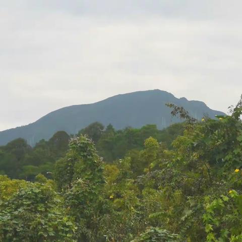 9月13日笔架山……桂皇阁穿越