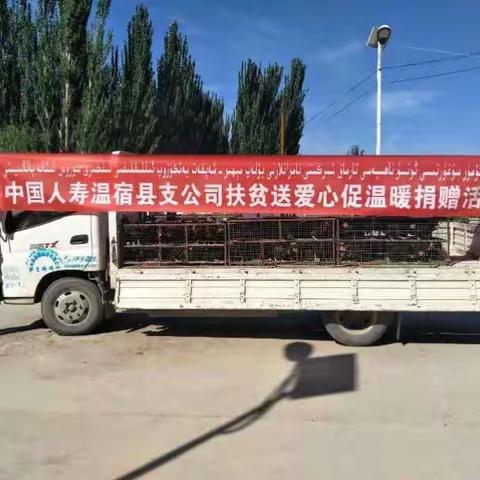 中国人寿温宿县支公司慰问驻村点，开展送温暖、献爱心活动