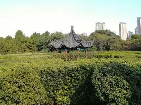 贵州行之河北、河南