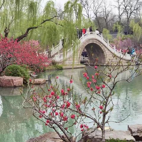 南行游记之九——烟花三月下扬州