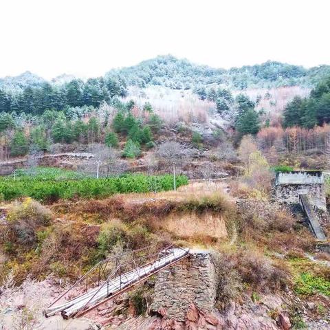 你那里下雪了吗