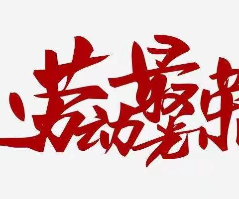 快乐实践课之整理书柜