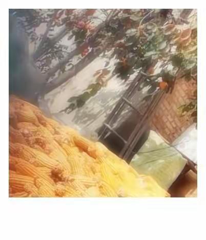 金秋美景看不完，丰收景象喜在心