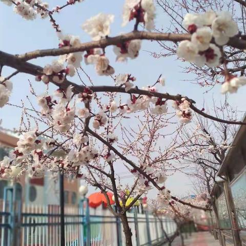 家校共育   你我同行——三年级二班家长会