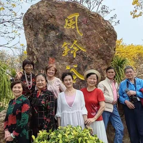 相约风铃花开的季节