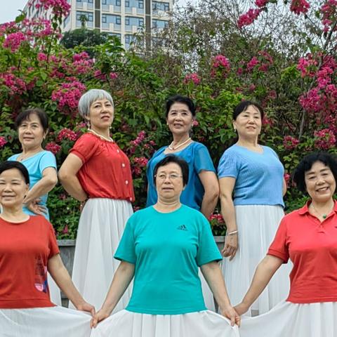 含蕊三角梅、临江艳一城