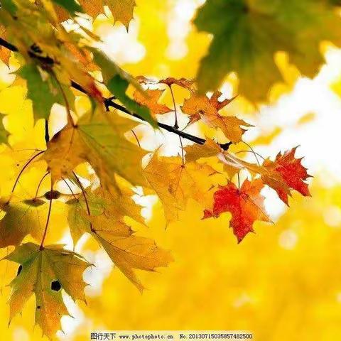 用眼观察，用心感悟