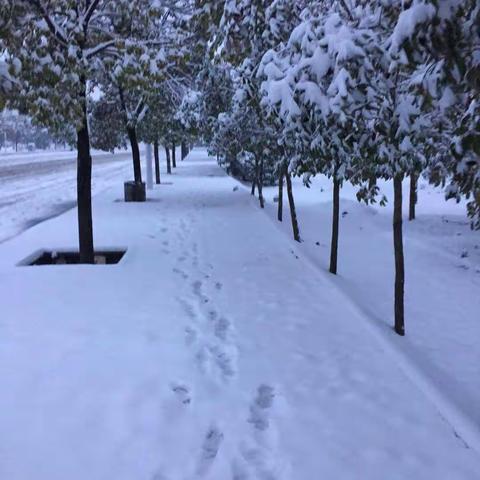 2018的第一场雪❄️！开心！