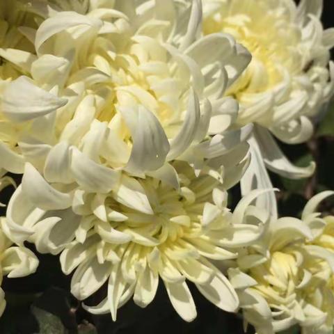 记——板山沟农事纠纷之行😊😊😊