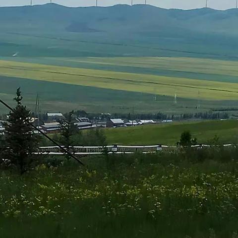 额尔古纳湿地公园游记