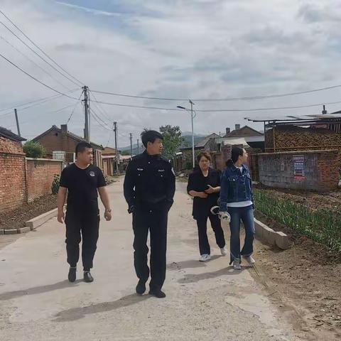 哈达镇踏查罂粟种植，让“毒美人”无处遁形