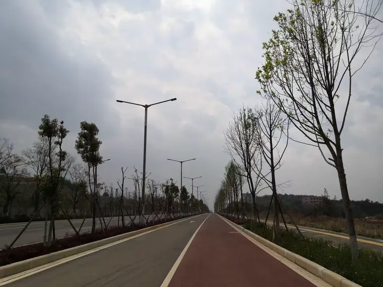 午休巡道滇中新区小哨核心区路网