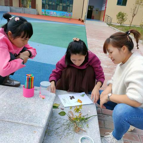 学以致用——自然游戏《一平米的自然物观察》