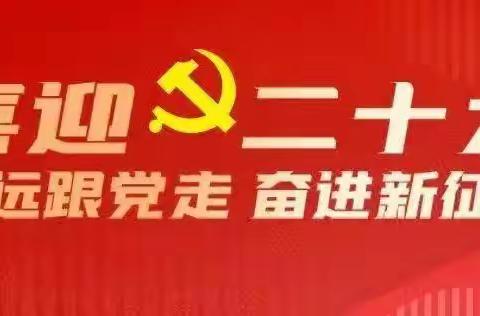 昌吉银保监分局党的二十大精神学习专刊（第四十三期）|第一党支部深学细悟笃行 履职尽责担当