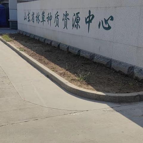 春日花正浓