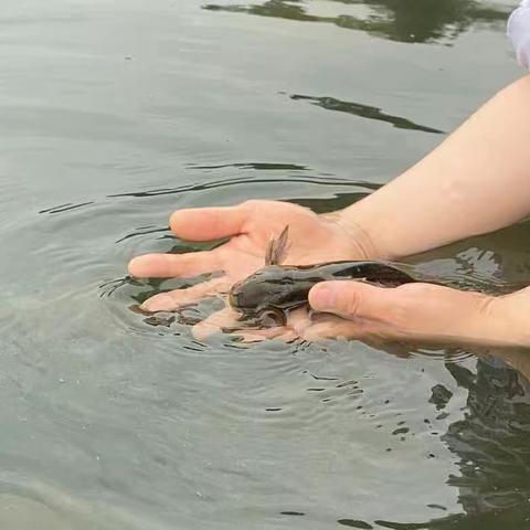 云