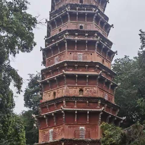 游宝通寺  见识洪山菜苔