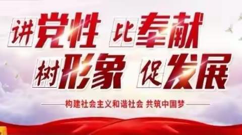 中共木棠镇大域村党支部开展党员党性教育体检活动