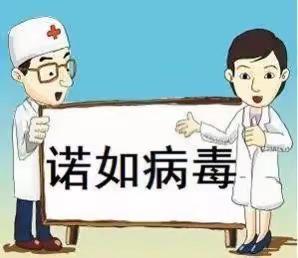 预防诺如病毒，我们一起行动                   ——黄梅县明德小学