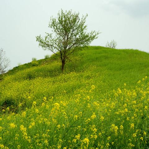 从虎爪山对节白蜡馆经无名山到柳门口瀑布穿越韭菜岭户外徒步