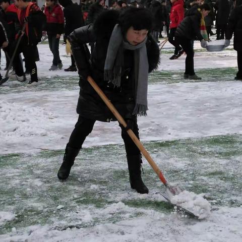 冬天里的一把火——西街学校八年级师生铲雪清雪掠影