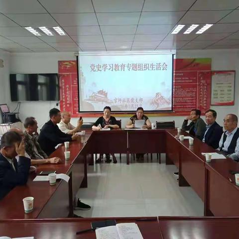 官坪社区召开党史学习教育专题组织生活会