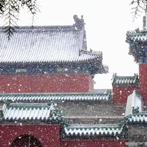 下雪了！（1月20日）