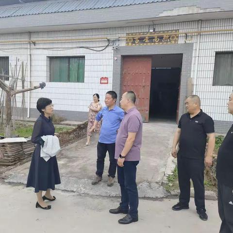 市资源规划局党委委员副局长姜颖带队督查高陵区西咸新区地灾防治工作