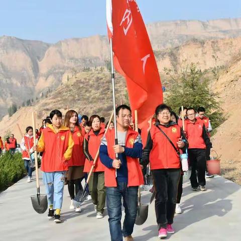 志愿者义务植树播新绿