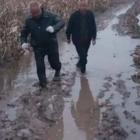 后卓水村加快推进灾后重建工作。