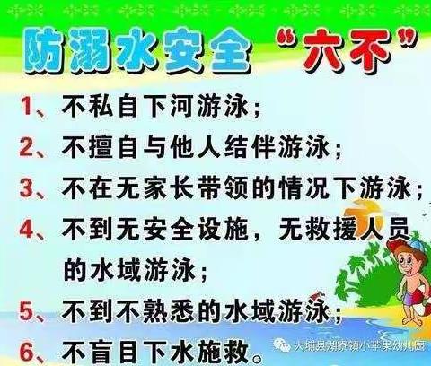 预防溺水，珍爱生命——刘振屯乡张林园小学及附属幼儿园暑期防溺水家访活动记录