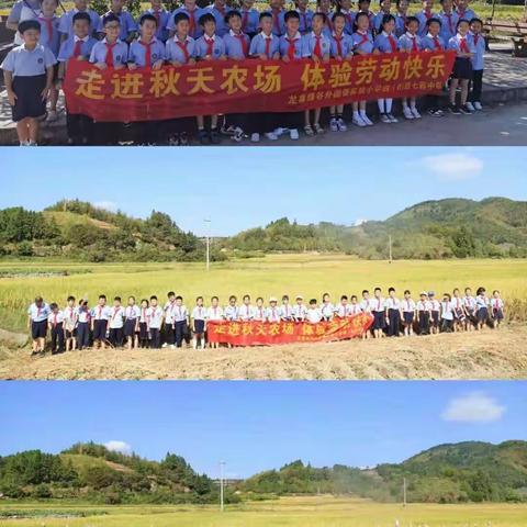 走进秋天农场，体验劳动快乐！——记绿谷外国语实验小学四（B）班研学之旅