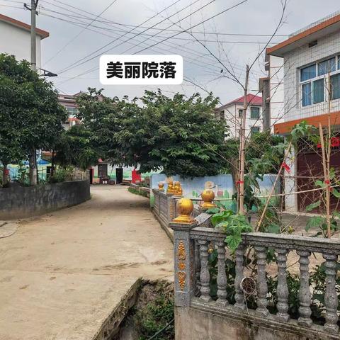 帮扶在路上