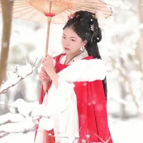 踏雪寻梅