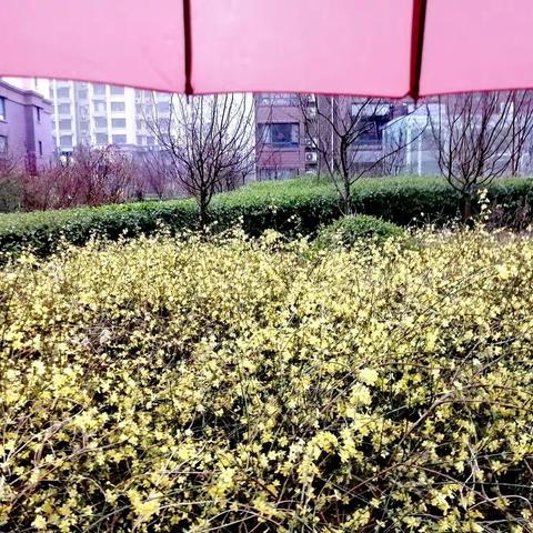 回音