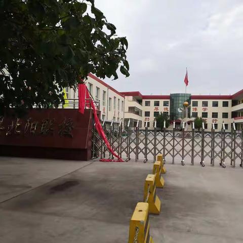 【送教下乡】育杰小学数学“学习单设计和应用”交流研讨