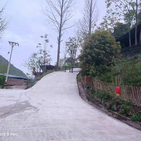 偶遇“桃源”