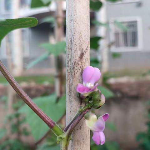 一念尘世，一念修身