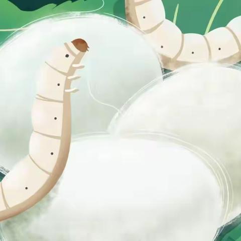 新虹小博士幼儿园         中一班班本课程活动“趣味虫生”