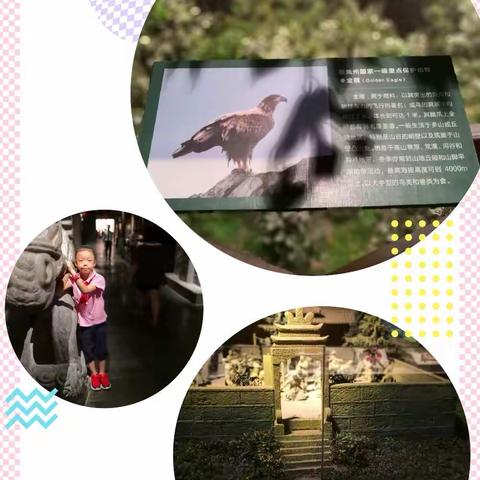 二(一)中队逐木鸟在行动之“感受土家文化，弘扬传统美德”