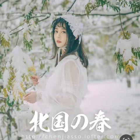 北国之春