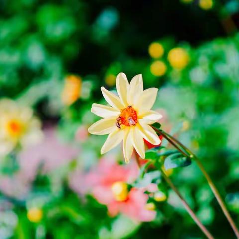 沁阳市高级中学每日工作简报-6月13日