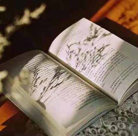 追随文言，我的独特方法总结--冀英中学天宁校区初三语文组十二月工作总结