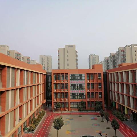 让世界在手中绽放