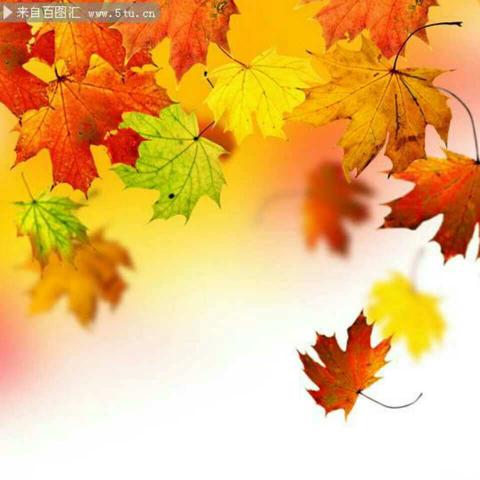 情系教育，携爱同行——记深圳狮子会振华服务队走进林石小学开展送课送教送培和赠书活动