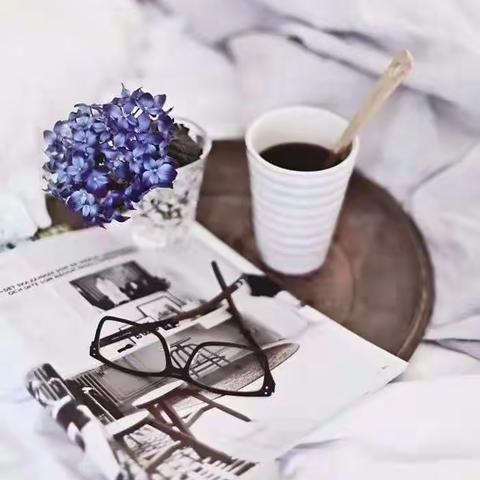 向阅读更深处漫溯